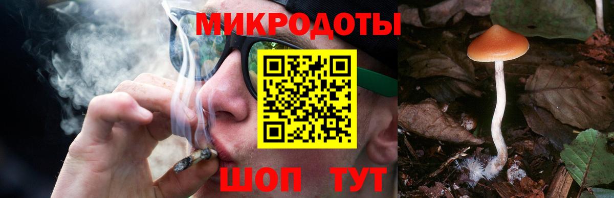 Мирный  Галлюциногенные грибы Cubensis  Вход с VPN 